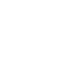 LOGO HC4 2026